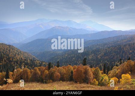 Wunderschöne Kaukasusgebirgslandschaft mit einem felsigen Kamm in der Ferne und einer Herbstwiesen im Vordergrund. Adygea, Russland Stockfoto