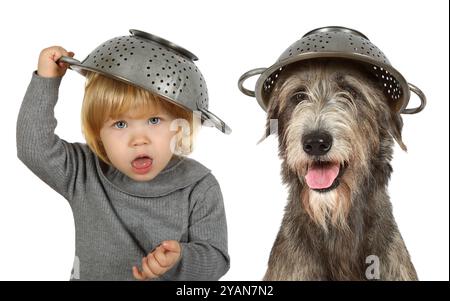 Porträt eines lustigen kleinen Mädchens mit einem Sieb auf dem Kopf und reinrassigem irischem Wolfshund im Studio. Isoliert auf weißem Hintergrund Stockfoto