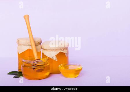 Honig im Glas mit Blättern und Honigtaube auf farbigem Hintergrund Draufsicht mit Text kopieren. Stockfoto