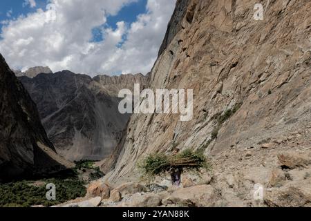 Ein Mann trägt ein Holzbündel im Nangma Valley, Kanday, Baltistan, Pakistan Stockfoto