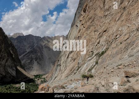 Ein Mann trägt ein Holzbündel im Nangma Valley, Kanday, Baltistan, Pakistan Stockfoto