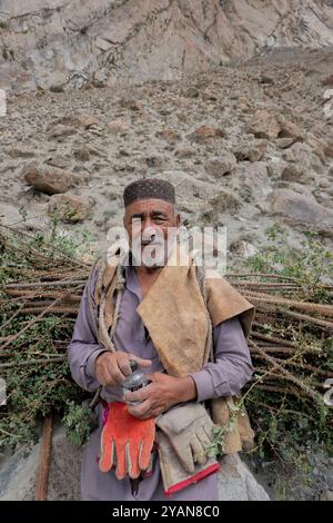 Ein Mann trägt ein Holzbündel im Nangma Valley, Kanday, Baltistan, Pakistan Stockfoto