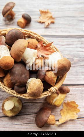 Ein rustikaler Korb überfließt mit verschiedenen wilden Pilzen und bunten Herbstblättern, die auf einer Holzplatte ruhen und eine warme saisonale Atmosphäre hervorrufen Stockfoto