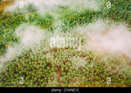 Luftaufnahme einer Holzfällerzone durchquert den Wald. Blick von oben auf Buschfeuer und Rauch in der Entwaldungszone. Wildes offenes Feuer zerstört Gras. Natur in Stockfoto