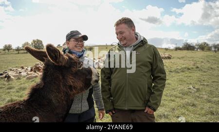 PRODUKTION - 15. Oktober 2024, Hessen, Hünfeld: Hirten Oliver (r) und Sarah Spione stehen mit Esel Tessa (2) bei der Schafherde. Rund 500 Schafe, 25 Ziegen und 2 Esel weiden im Naturschutzgebiet Hünfelder Weinberg (Rhön). Die Schäferei mit Herz, die von der Familie Spione aus Leimbach (Osthessen/Marktstadt Eiterfeld) betrieben wird, nutzt zwei Esel als Herdenschutztiere zum Schutz der Herde. Foto: Andreas Arnold/dpa Stockfoto