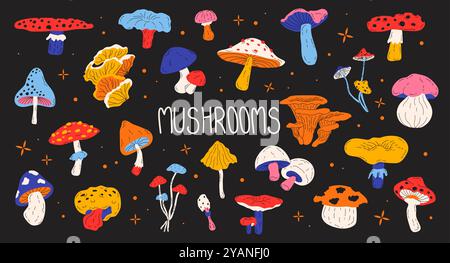 Set aus verschiedenen Waldpilzen, Pilzpilzen, Pilzpilzen, Pfifferlingen, Fliegenpilzen, Boletus Stock Vektor