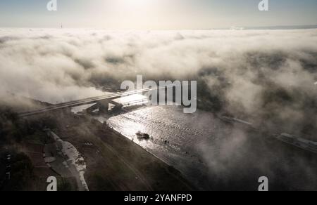 Dresden, Deutschland. Oktober 2024. Morgens zieht Nebel über das Elbtal um die teilweise eingestürzte Carola Brücke. (Luftaufnahme mit Drohne) Credit: Robert Michael/dpa/Alamy Live News Stockfoto