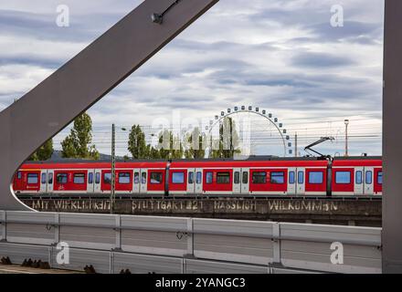 Neckarbrücken in Bad Cannstatt. Über die Eisenbahnbrücke Rosensteinbrücke rollt noch der Schienenverkehr. Im Vordergrund die neue Eisenbahnbrücke, die 2026 den Bahnverkehr aufnehmenn soll. Sie ist Teil des Projekts Stuttgart 21. // 09.10.2024: Stuttgart, Baden-Württemberg, Deutschland, Europa *** Neckarbrücken in Bad Cannstatt der Eisenbahnverkehr rollt noch über die Rosensteinbrücke im Vordergrund die neue Eisenbahnbrücke, die 2026 den Eisenbahnverkehr aufnehmen soll Sie ist Teil des Stuttgart 21 Projekts 09 10 2024 Stuttgart, Baden Württemberg, Deutschland, Europa Stockfoto