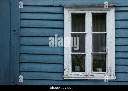 Fenster in einem alten blauen Holzgebäude, Bergen, Norwegen. Stockfoto
