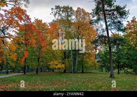 Herbstfarben auf den Bäumen im Sibelius Park, Helsinki, Finnland Stockfoto