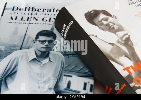 Zwei Bücher Der Essays, Tagebücher Und Poesie Des Dichters Allen Ginsberg, Bewusste Prosa Und Das Buch Des Märtyrertums Und Der Kunst Stockfoto