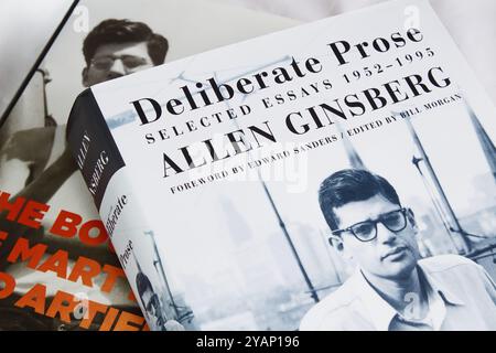 Zwei Bücher Der Essays, Tagebücher Und Poesie Des Dichters Allen Ginsberg, Bewusste Prosa Und Das Buch Des Märtyrertums Und Der Kunst Stockfoto