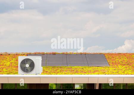 Sedum-Dach mit Solarpaneelen und externem Wärmetauscher einer Luftwärmepumpe Stockfoto