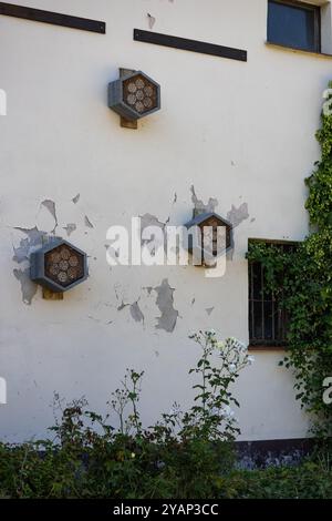 Drei sechseckige Insektenhotels an einer rustikalen Wand mit abblätternder Farbe und Kletterpflanzen an einem sonnigen Tag Stockfoto