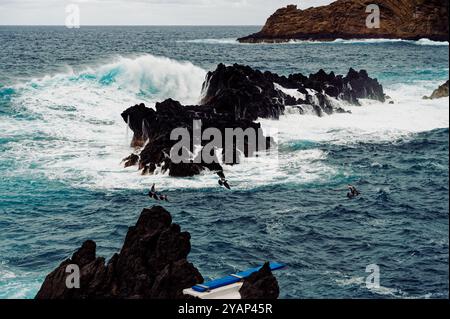 Vögel, die über die stürzenden Wellen und vulkanischen Felsen von Porto Moniz fliegen und die wilde Energie der Küste Madeiras einfangen Stockfoto