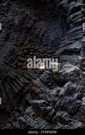 Einsame, unberührte Statue inmitten dunkler vulkanischer Felsen Stockfoto