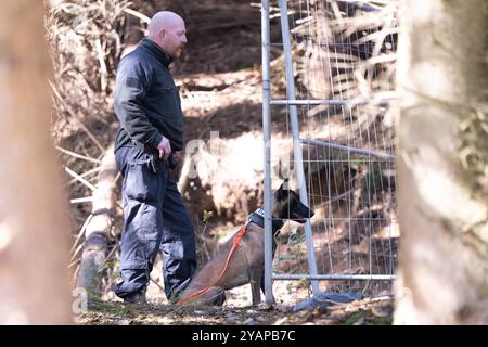 Annaberg Buchholz, Deutschland. Oktober 2024. Ein Polizist steht mit einem Leichenschnüffelhund neben einem Zaun an einem Eingang zu einem alten Minentunnel in einem bewaldeten Gebiet. Die Suche nach einem vermissten 34-jährigen Mann in Annaberg-Buchholz geht weiter. Quelle: Sebastian Kahnert/dpa/Alamy Live News Stockfoto