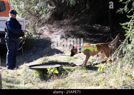 Annaberg Buchholz, Deutschland. Oktober 2024. Eine Polizistin steht mit einem Leichenschnüffelhund an einem alten Wasserschacht unterhalb eines Eingangs zu einem alten Minentunnel in einem bewaldeten Gebiet. Die Suche nach einem vermissten 34-jährigen Mann in Annaberg-Buchholz geht weiter. Quelle: Sebastian Kahnert/dpa/Alamy Live News Stockfoto