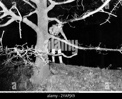 Belagerung der Westdeutschen Botschaft in Stockholm 1975. Am 24. April 1975 besetzte das Kommando Holger Meins von der bewaffneten linksextremistischen Organisation Rote Armee Fraktion RAF die westdeutsche Botschaft auf Skarpögatan in Gärdet, Stockholm. Die RAF-Gruppe führte den Angriff mit dem Ziel durch, die Freilassung von RAF-Mitgliedern und anderen aus dem Gefängnis in der Bundesrepublik Deutschland zu erzwingen. Die Besatzer nahmen eine Reihe von Personen als Geiseln, darunter den Botschafter Dietrich Stoecker. Die schwedische Polizei bereitete sich vor, das Gebäude zu stürmen, aber bevor sie die Gelegenheit dazu hatten, wurde die Botschaft von einer Reihe heftiger Explosionen erschüttert, der TNT Stockfoto