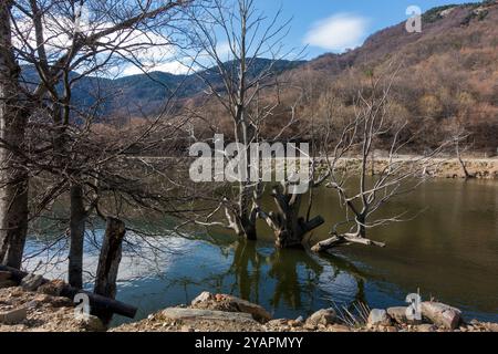 Fantastische Landschaft am künstlichen See im Dorf Panagitsa, Pella, Griechenland Stockfoto