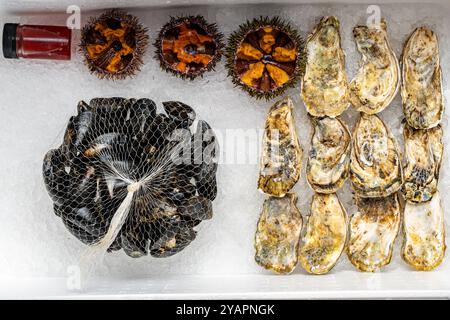 Verschiedene frische Meeresfrüchte. Geschlossene Austern, Muscheln in Muscheln und offene Seeigel auf Eis. Hochwertige Fotos Stockfoto