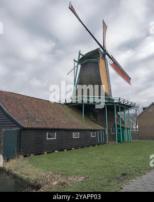 In Koog aan de Zaan, die Ölmühle Het Pink (der Jährling) aus dem 17. Jahrhundert mit vollen Wintersegeln unter bewölktem Himmel, die historische Architektur zeigen Stockfoto