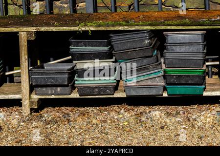 Lagerung von Kunststoff-Samenwannen unter Holzregalen für Gartenmöbel Die Tabletts werden für Herbst- und Winterlagerung aufgestapelt. Stockfoto