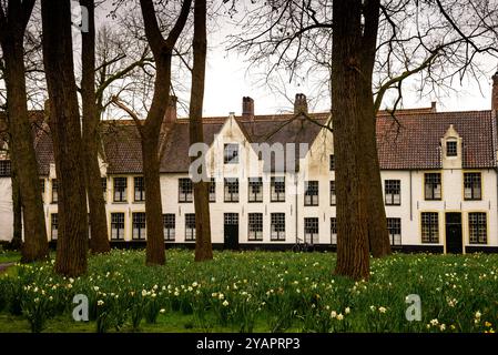 Beguinage 'Ten Wijngaerde', umgeben von einer Wiese in Brügge, Belgien, eine Gemeinschaft frommer Frauen. Stockfoto