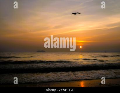 Sonnenaufgang über Tor Bay, South Devon, mit einer Silhouette, die im Flug gegen den feurigen Morgenhimmel gefangen ist. Stockfoto