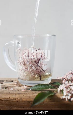 Heißes Wasser wird in einen Glasbecher mit frischen rosafarbenen Holunderblüten gegossen. Stockfoto