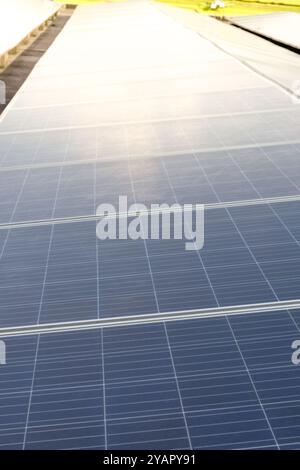 Nahaufnahme von Solarpaneelen, die in Reihen angeordnet sind, um Solarstrom zu erzeugen Stockfoto