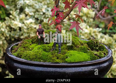 Junger Bonsai-Baum mit Männern, die arbeiten Stockfoto