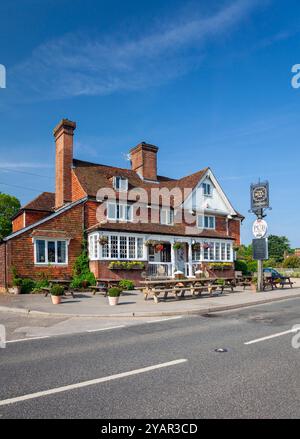 England, Kent, Benenden, The Street mit dem "The Bull Inn" Public House Stockfoto