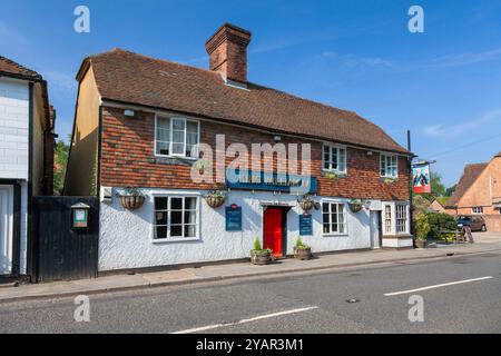 England, Kent, Benenden, The Street und King William IV. Public House Stockfoto