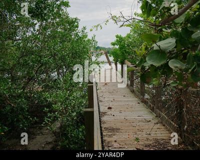 Die vorderen POV-Linien sehen am späten Nachmittag eine beschädigte hölzerne Beach Access Bridge. Grüne Bäume auf der Seite. Gulfport Florida Beach. Auf Boca Ciega Bay nach s Stockfoto