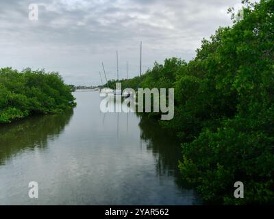 Weite Aussicht auf ruhiges Wasser mit Reflexen und grünen Bäumen an den Seiten, blauem und weißem Himmel. Mehrere Segelboote im Bayou Nature Preserve Stockfoto