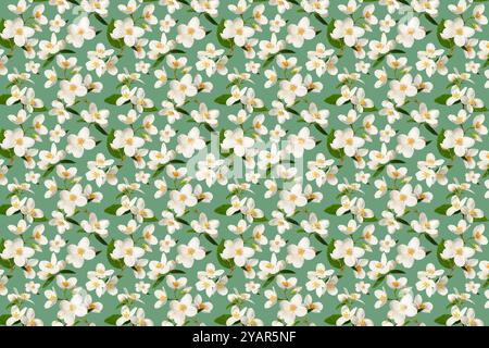 Blumenhintergrund. Zarte Jasminblüten auf grünem Hintergrund, wiederholtes Muster. Stockfoto