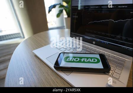 China. Oktober 2024. In dieser Fotoabbildung wird das Bio-Rad Laboratories Logo auf einem Smartphone mit S&P 500 Index-Website im Hintergrund angezeigt. (Credit Image: © Alvin Chan/SOPA Images via ZUMA Press Wire) NUR REDAKTIONELLE VERWENDUNG! Nicht für kommerzielle ZWECKE! Stockfoto