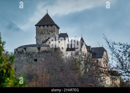 Schloss Vaduz in Vaduz, Liechtenstein an einem bewölkten Tag. Stockfoto