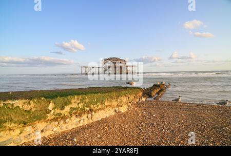 West Pier vom Ufer Brighton Sussex England UK Stockfoto