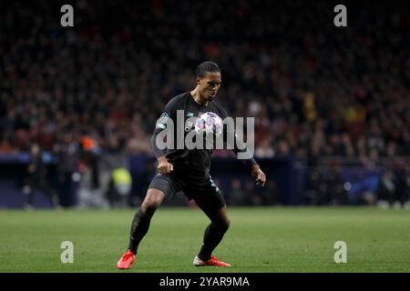 MADRID, SPANIEN - 18. FEBRUAR: Virgil van Dijk beim Spiel der UEFA Champions League 2019/20 zwischen Atletico de Madrid und Liverpool in Civitas Metro Stockfoto