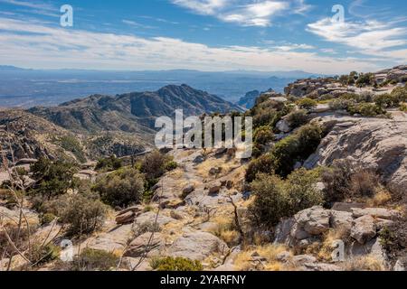 Windy Point Vista bietet einen Blick auf Tucson von den Catalina Mountains entlang des Mt Lemmon Highway in der Nähe des Willow Canyon, Arizona, USA Stockfoto