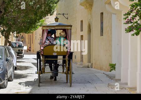 Mdina, Malta - 4. August 2023: Touristen reiten in einem Pferdewagen durch eine der engen Gassen der Altstadt von Mdina Stockfoto