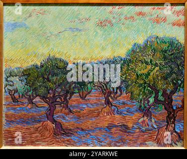 Olive Grove, Saint-Rémy, 1889, Vincent Van Gogh (1853-1890), Poets & Lovers Exhibition, National Gallery, London, Großbritannien Stockfoto