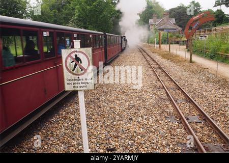 Ein schmaler Zug, der die Station Cotishall an der Bure Valley Railway verlässt und auf dem Weg in Richtung Wroxham an den Norfolk Broads in Norfolk, England, Großbritannien, fährt Stockfoto