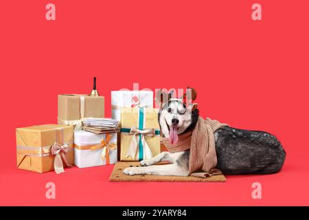 Niedlicher Husky-Hund in Rentierhörnern mit Fußmatte und Weihnachtsgeschenken auf rotem Hintergrund Stockfoto