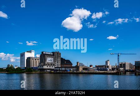 Blick auf den Odense Innenhafen an einem sonnigen Sommertag Stockfoto