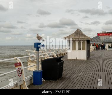 Hölzerner Unterstand auf dem Pier Stockfoto