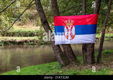 Eine serbische Flagge entlang eines Wanderweges, befestigt an einem Baumstamm neben dem Fluss Gradac in Serbien. Stockfoto