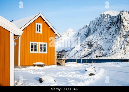 Traditionelles gelbes Rorbu-Haus im Fischerdorf Sakrisoy auf den Lofoten-Inseln, Norwegen. Winterlandschaft mit schneebedeckten Bergen und skandinavischem Cottage. Stockfoto